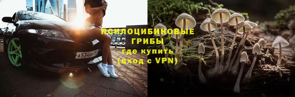 метадон Снежногорск