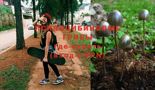 метадон Снежногорск