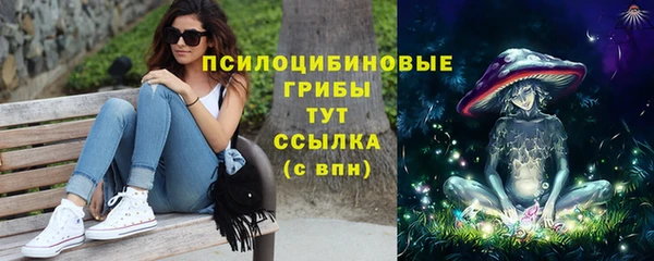 метадон Снежногорск